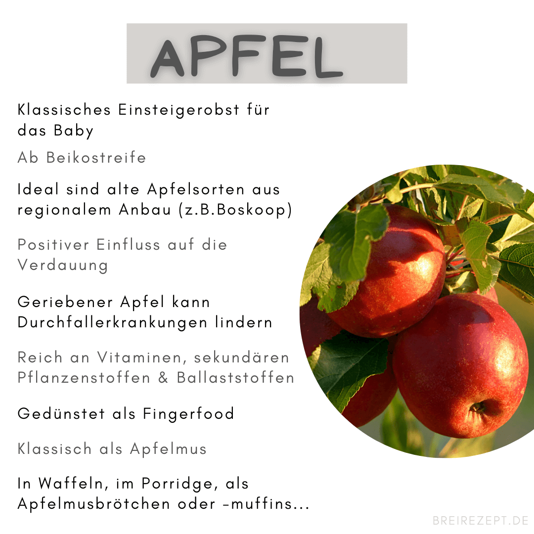 Apfel für das Baby