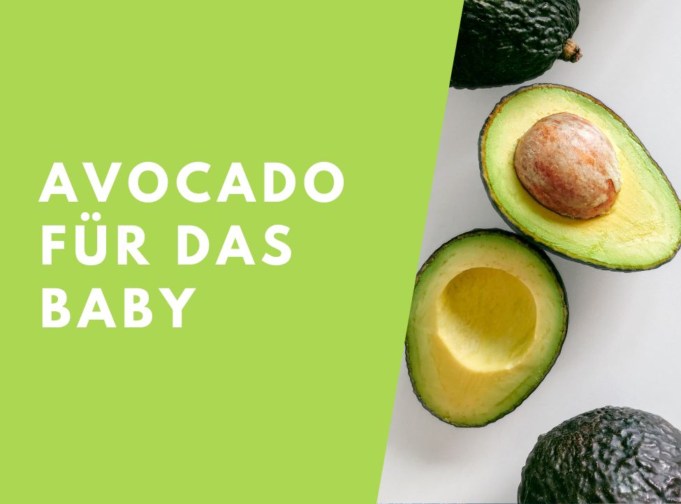 Avocado als Beikost für das Baby