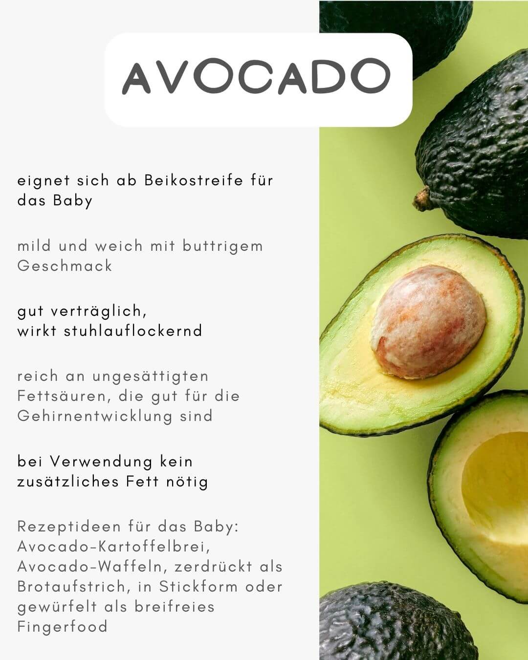 Avocado Beikost