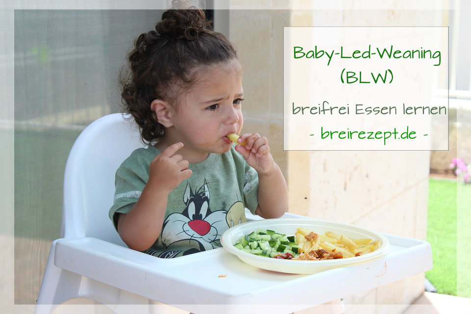 Baby Led Weaning (BLW): breifrei essen mit Fingerfood