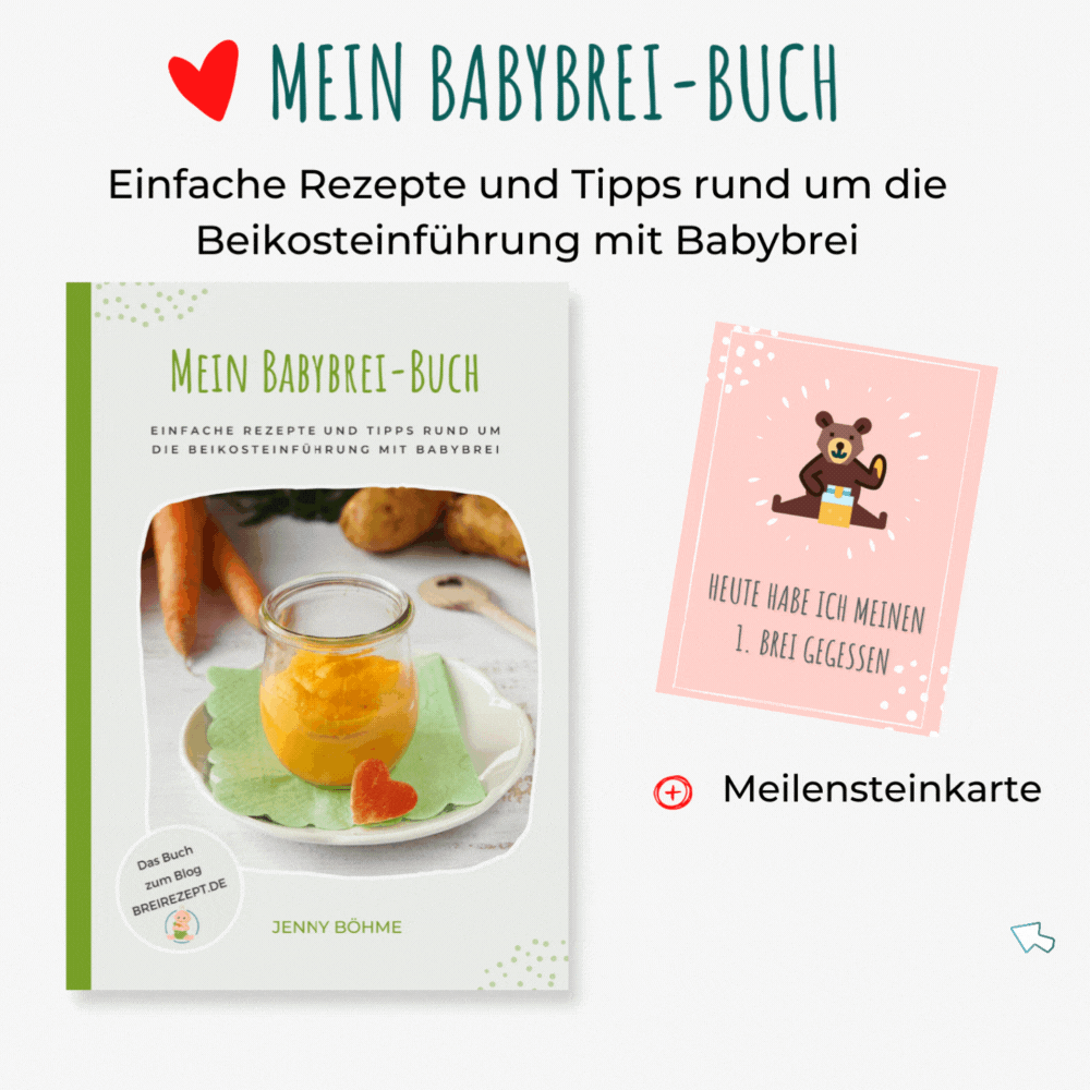 Babybrei Buch Babybrei Buch