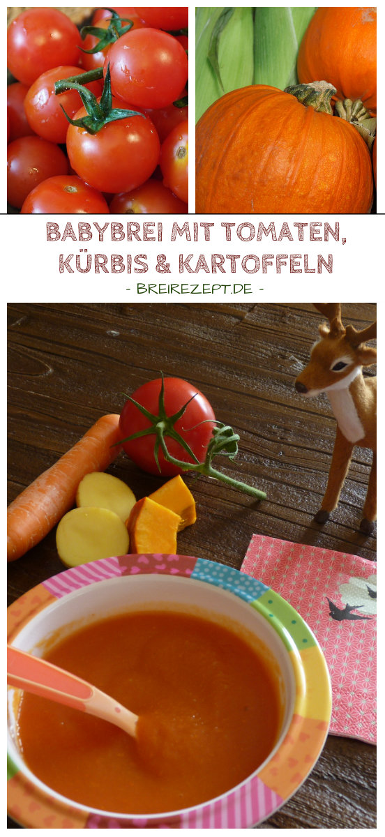 Babybrei mit Tomaten, Kürbis, Möhre und Kartoffeln