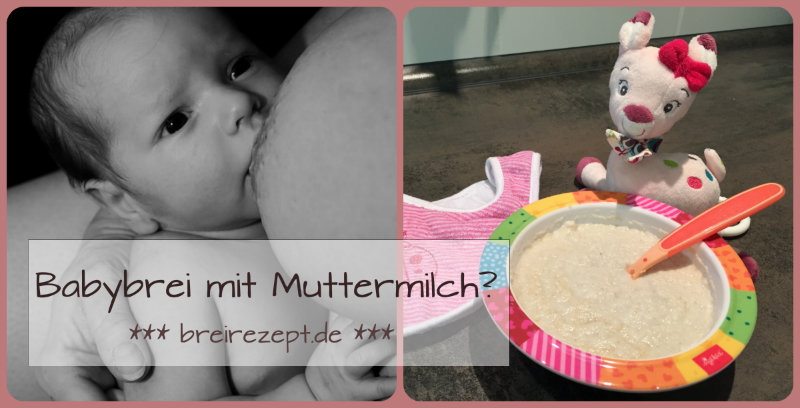 Babybrei mit Muttermilch Babybrei mit Muttermilch