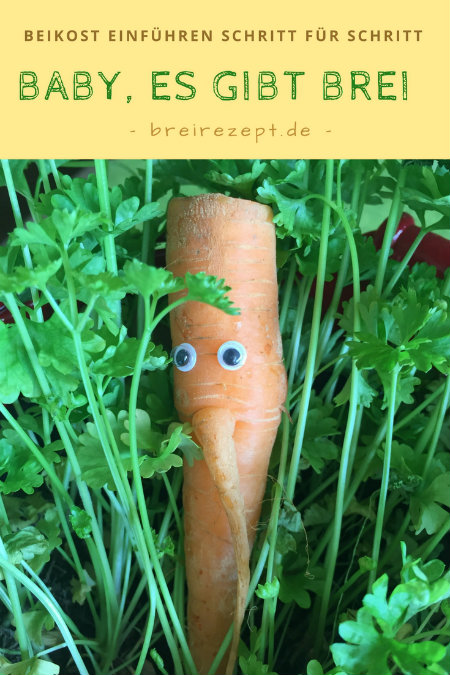 Beikost Beikost