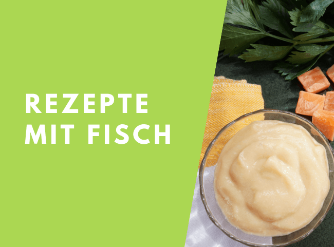 Fisch für das Baby - Ab wann erlaubt? Rezepte und mehr