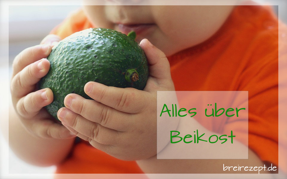 Beikost