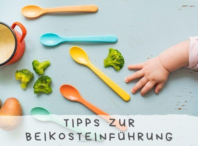 Tipps zur Beikosteinführung