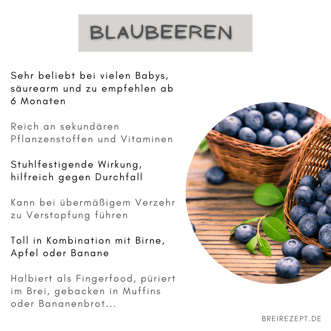 Blaubeeren für das Baby