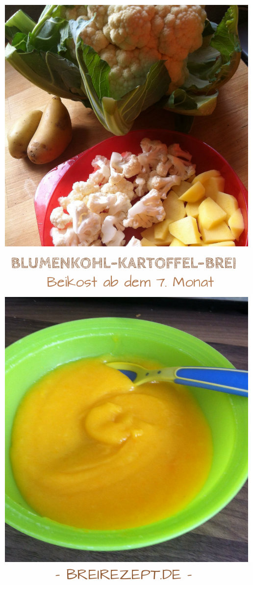 Babybrei mit Blumenkohl und Kartoffeln ab dem 7.Monat Babybrei mit Blumenkohl und Kartoffeln ab dem 7.Monat