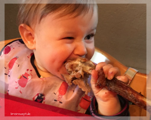 Babybrei mit Ente, Kartoffeln und Rotkraut