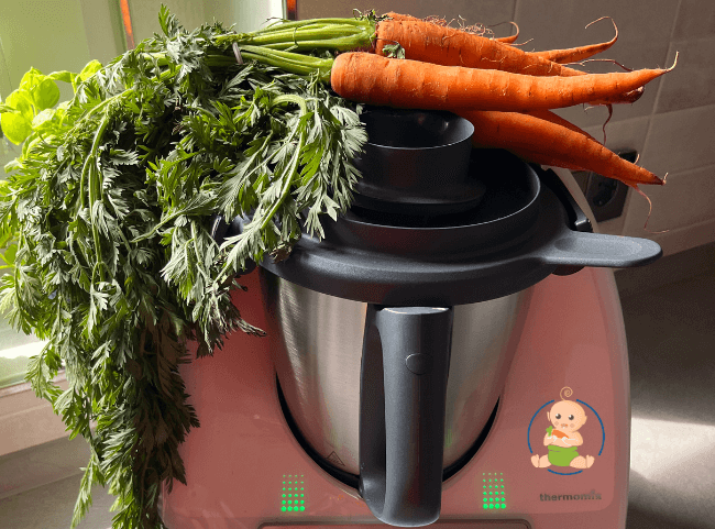 Babybrei aus dem Thermomix - Anleitung und leckere Rezepte auf Vorrat Babybrei aus dem Thermomix - Anleitung und leckere Rezepte auf Vorrat