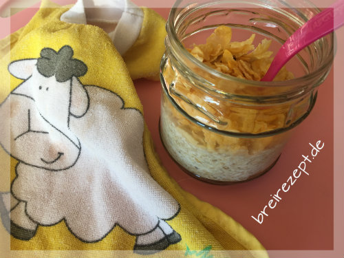 Overnight Oat für das Baby Overnight Oat für das Baby