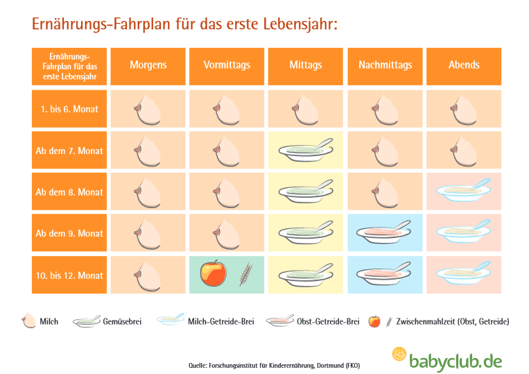 Beikost Richtig Einfuhren Mit Dem Beikostplan Zum Zufuttern