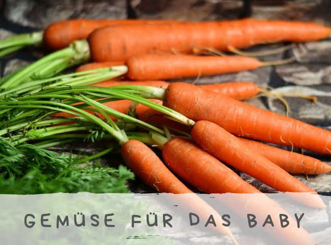 Welches Gemüse für das Baby und den ersten Brei?