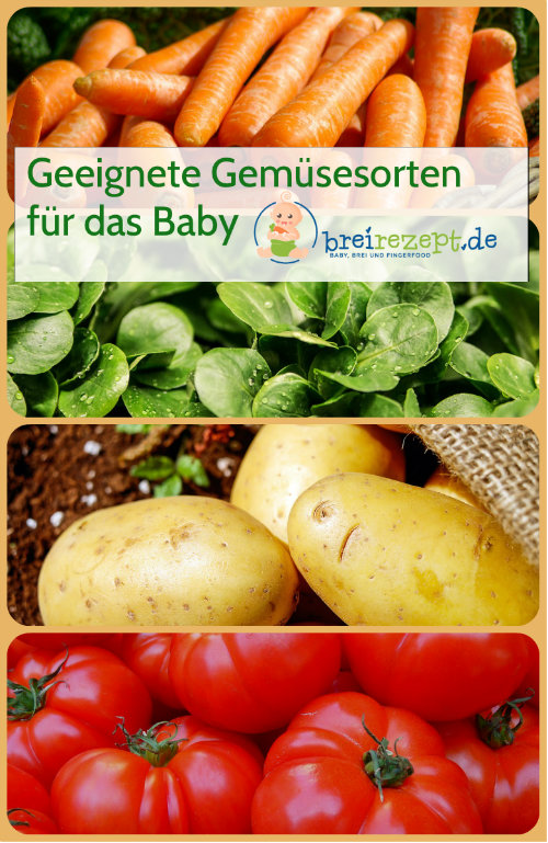 Geeignete Gemüsesorten für das Baby