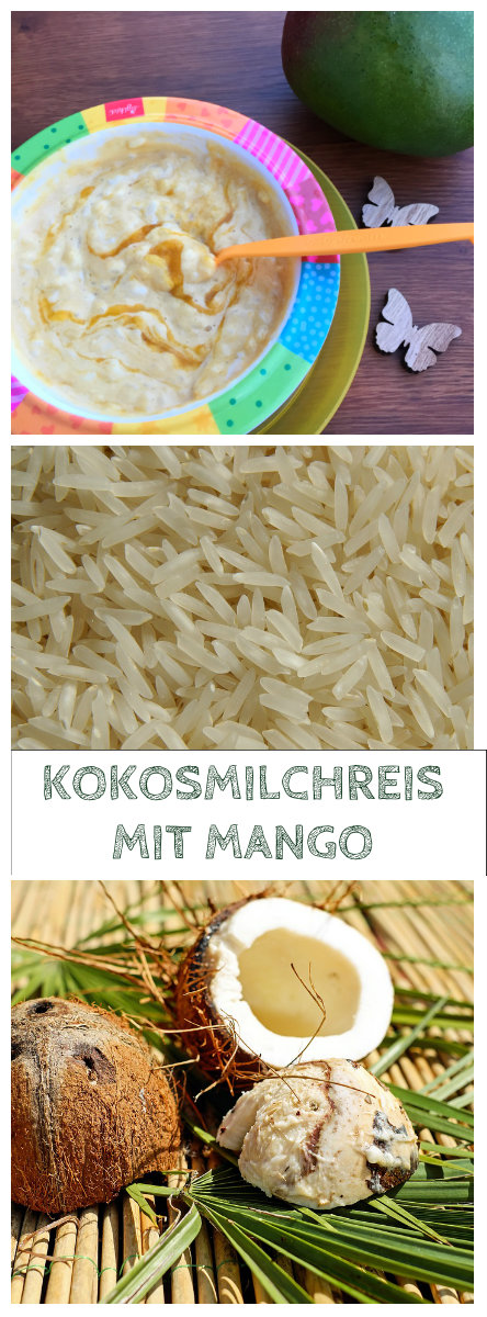 Kokosmilchreis mit Mango (vegan)