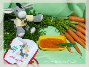 Beikost Richtig Einfuhren Mit Dem Beikostplan Zum Zufuttern