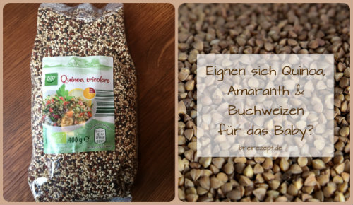 Quinoa, Amaranth und Buchweizen für den Babybrei?