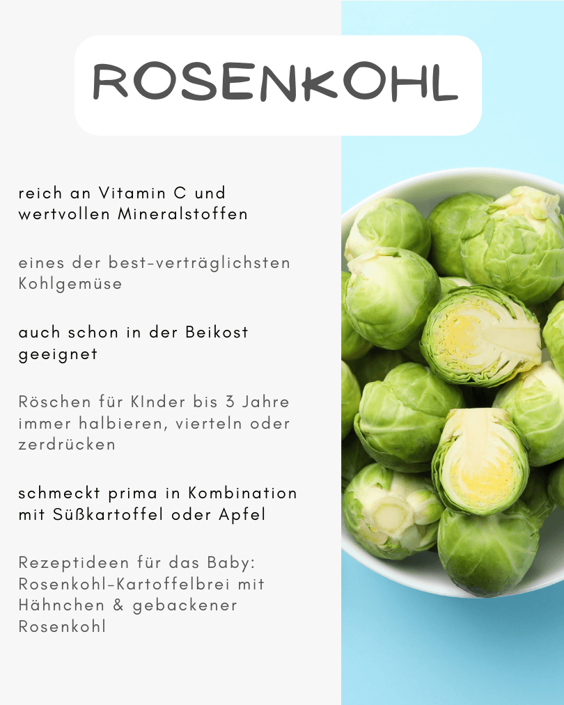 Rosenkohl Beikost Baby