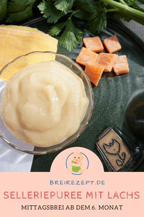Selleriepuree mit Lachs für das Baby als Mittagsbrei Selleriepuree mit Lachs für das Baby als Mittagsbrei