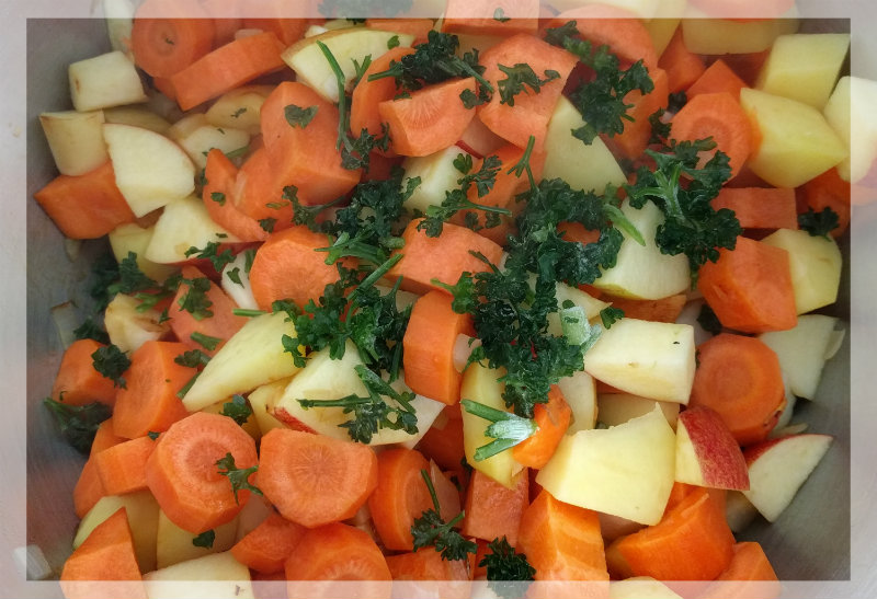 Möhrencremesuppe für Kinder kochen Möhrencremesuppe für Kinder kochen